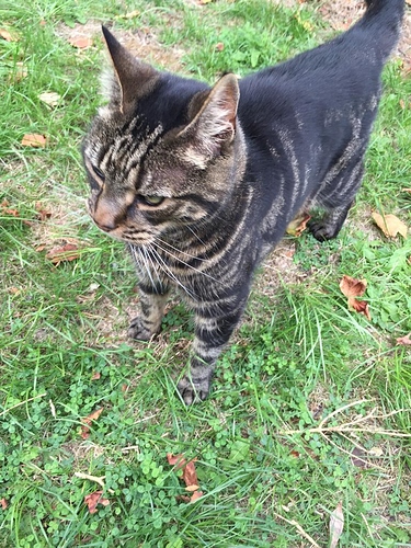 b7cdfb0b-b2b8-46a0-a674-b040455d5297