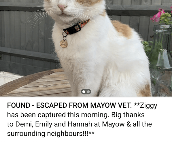 Screenshot_20210726-083231~2