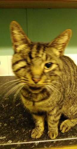 USER_SCOPED_TEMP_DATA_MSGR_PHOTO_FOR_UPLOAD_1597718102001_6701315426099003272