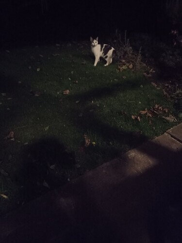 124266345_2709487995979339_2219331493729797105_n