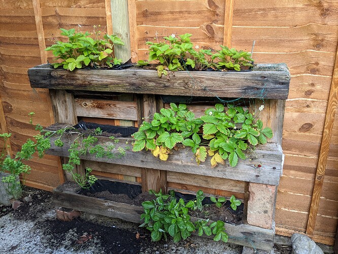 PXL_20210703_170531259