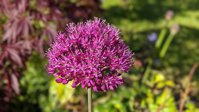 00100lPORTRAIT_00100_BURST20200517171206412_COVER