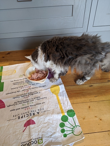 MVIMG_20200930_133357