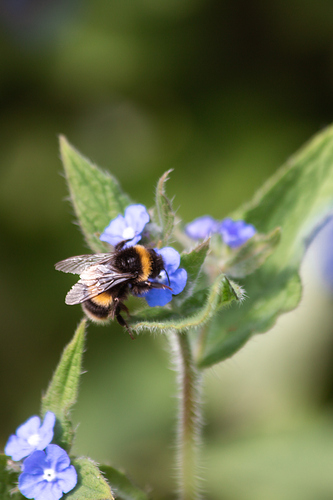 inbound2684024171911317366