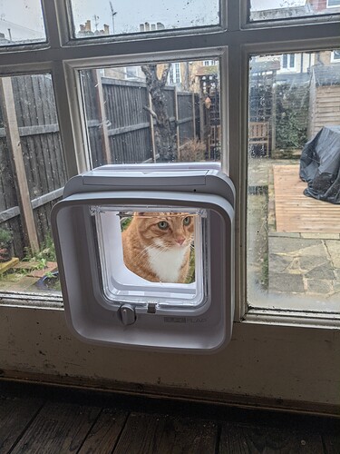 PXL_20210108_134857444