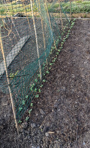 PXL_20210420_054753779~2