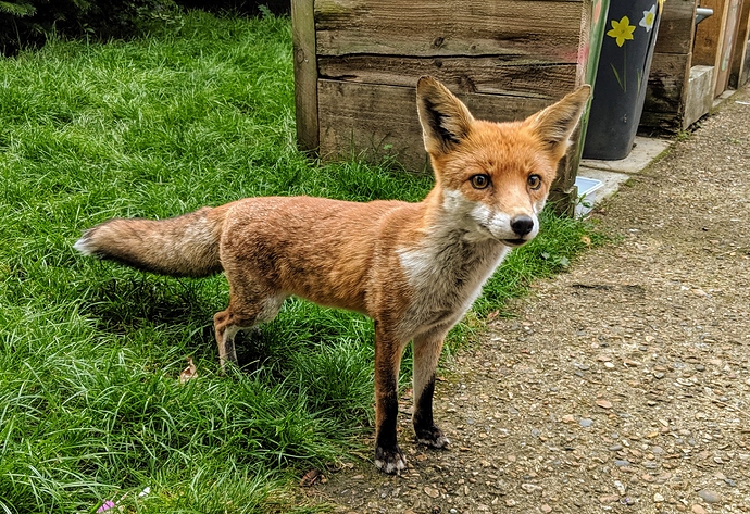 MVIMG_20190910_183055~2