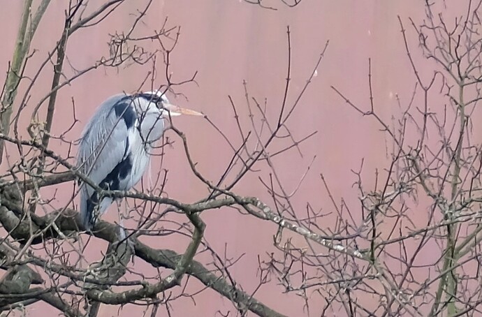 New_1_New_1_DSCF1470