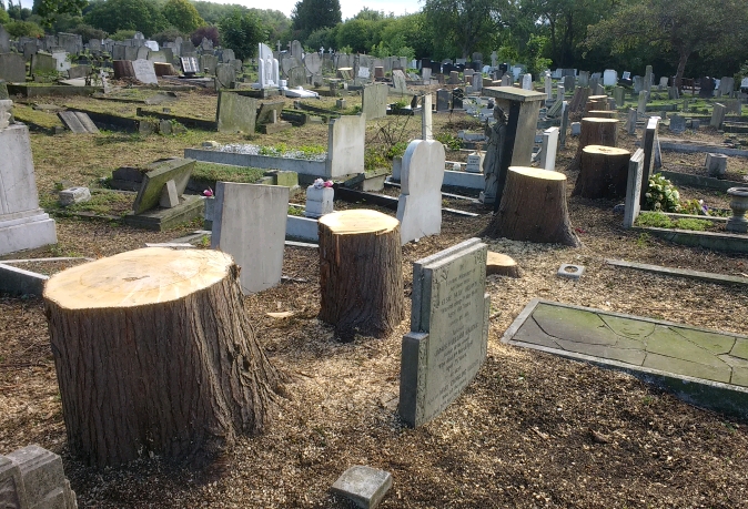 IMG_20170730_181531843_crop_674x459 (1)