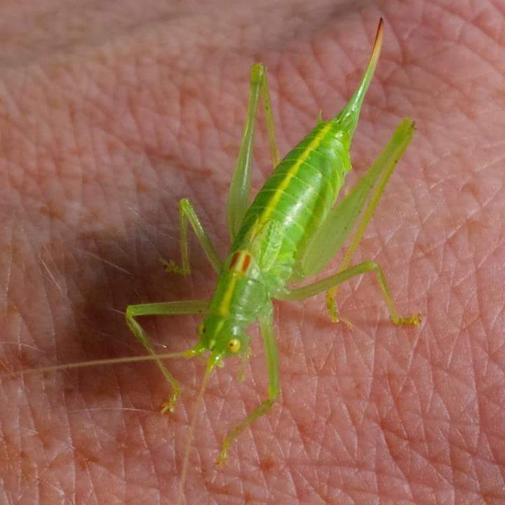 FB_IMG_1505892962042