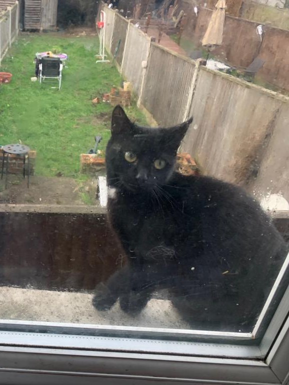 IMG-20190417-WA0001~2