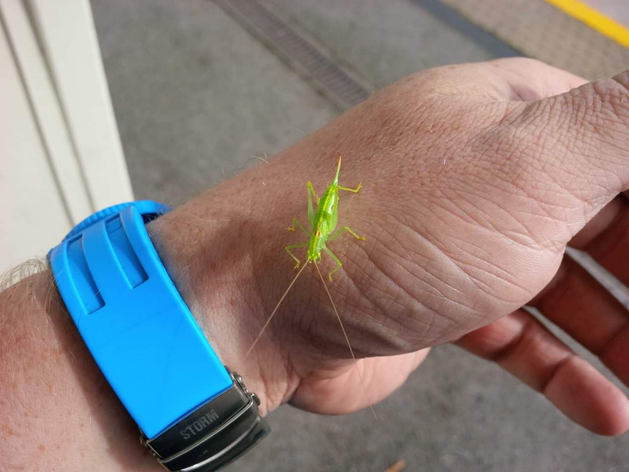 FB_IMG_1505892953499