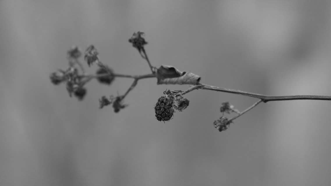 FB_IMG_1515170913803