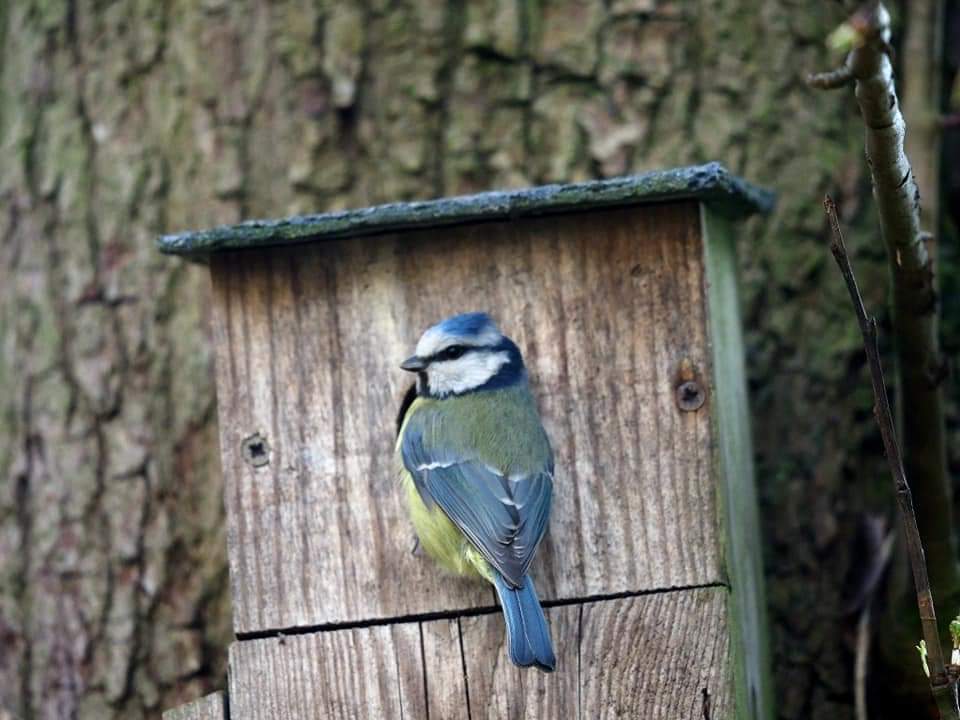 FB_IMG_1602843590831