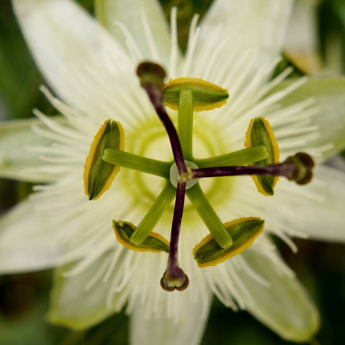 103269289_10157312217657727_3724959934861044495_o