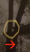 2abb1a227f95e12488960dc352ac5010da6c6ed8