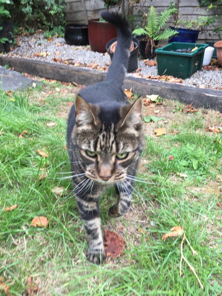 a5dda0b7-4d19-4245-ba93-bc25219e8d7c