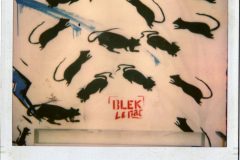 thumbs_rats_80s